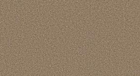 Camp Trail I - Casablanca Swatch