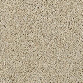 Salinas Valley I - Durango Swatch