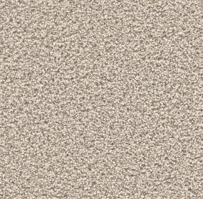 Stunning - Stucco Swatch