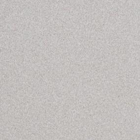Big Dog - Papillon Swatch