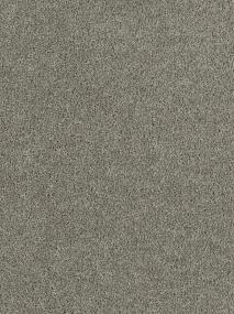 Dark Platinum Swatch Thumbnail