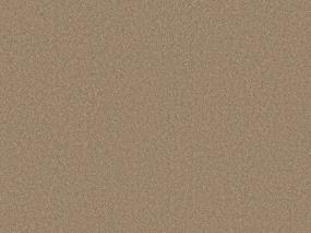 Brass Rings II - Leather Swatch