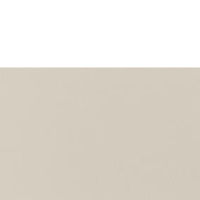 Beige Polished Zoomed Swatch