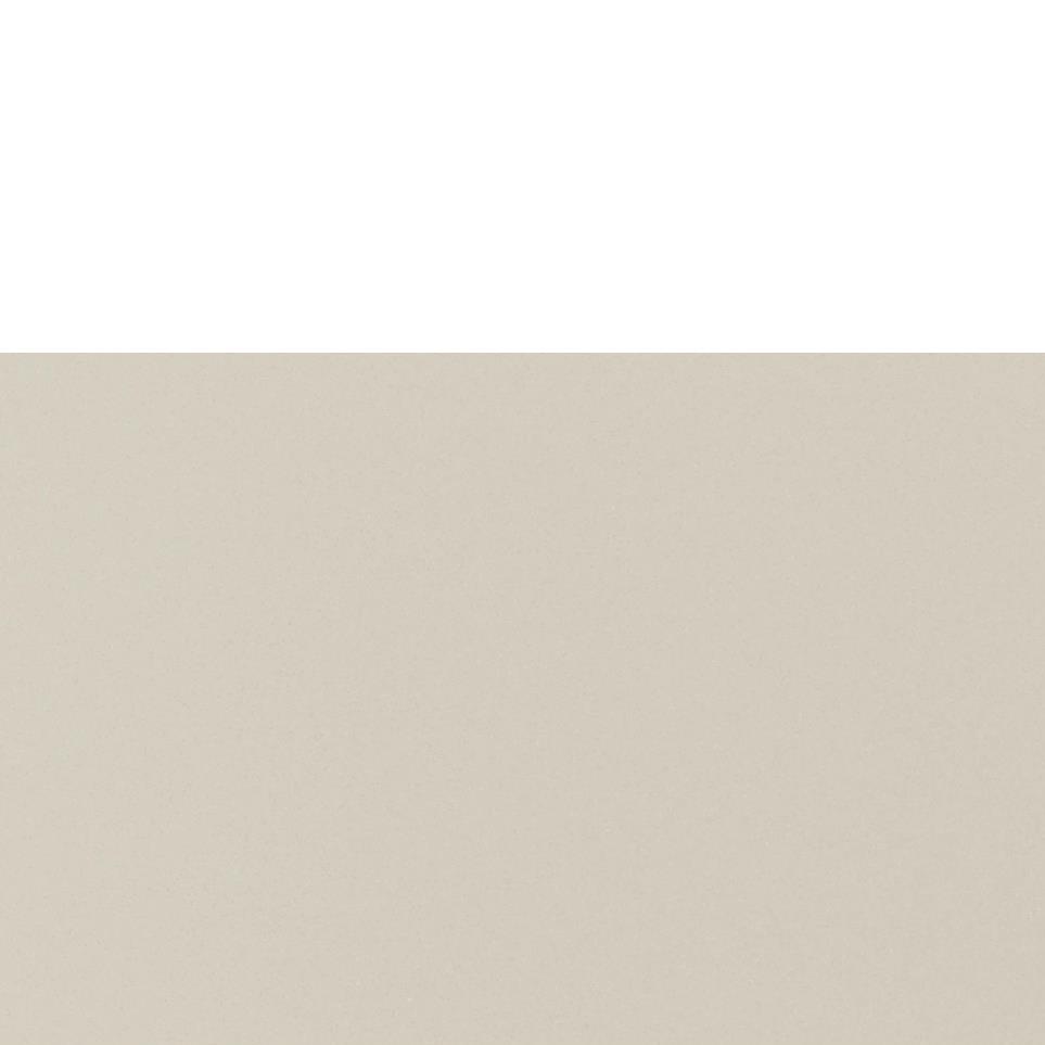 Beige Polished Zoomed Swatch