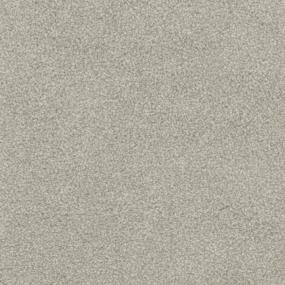 Walking Trail Zoomed Swatch