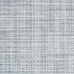 Dolphin Zoomed Swatch