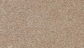 Spacious Solid - Veranda Swatch