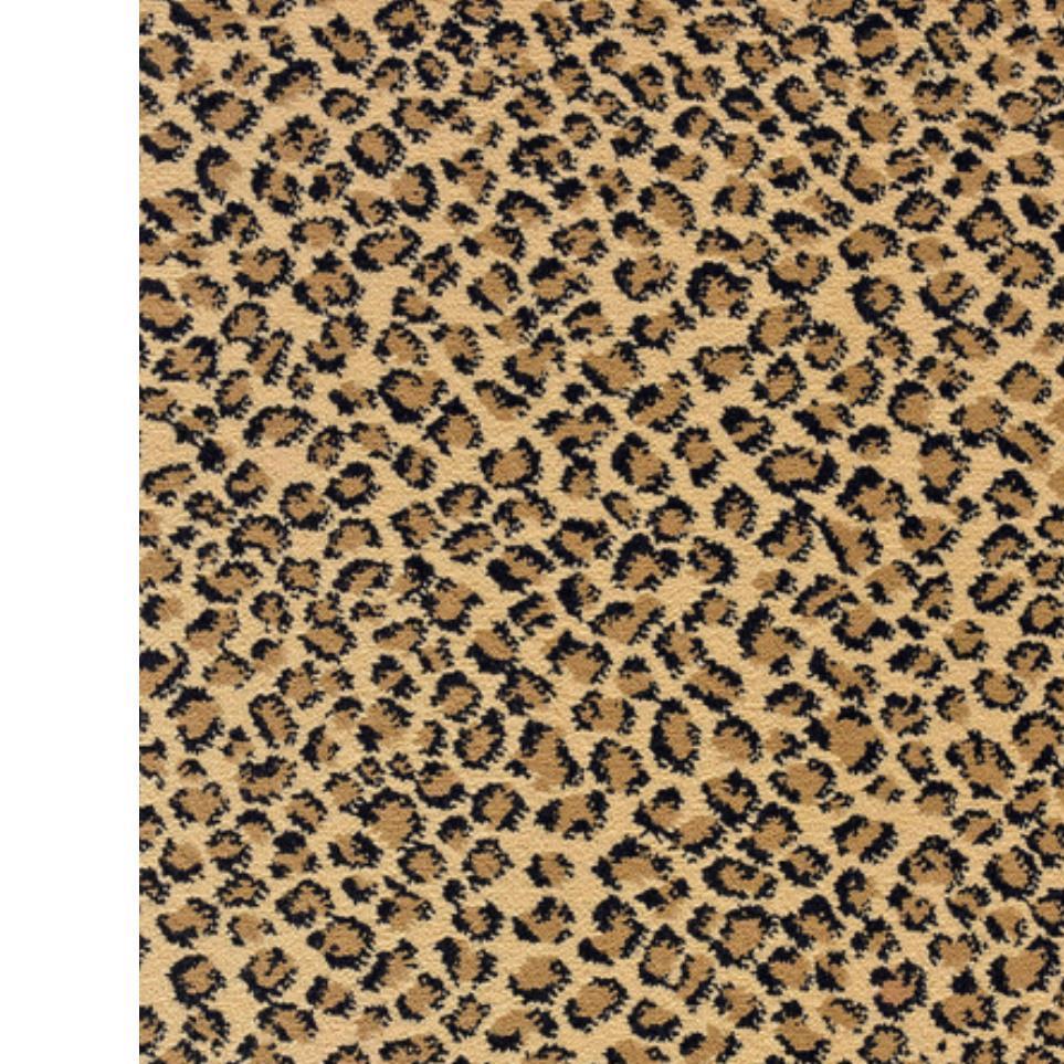 Prowl Zoomed Swatch
