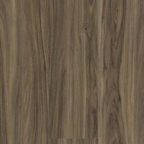 Spicy Walnut Zoomed Swatch