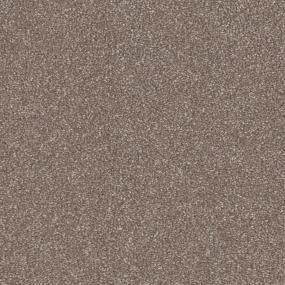 Tree Trunk Zoomed Swatch