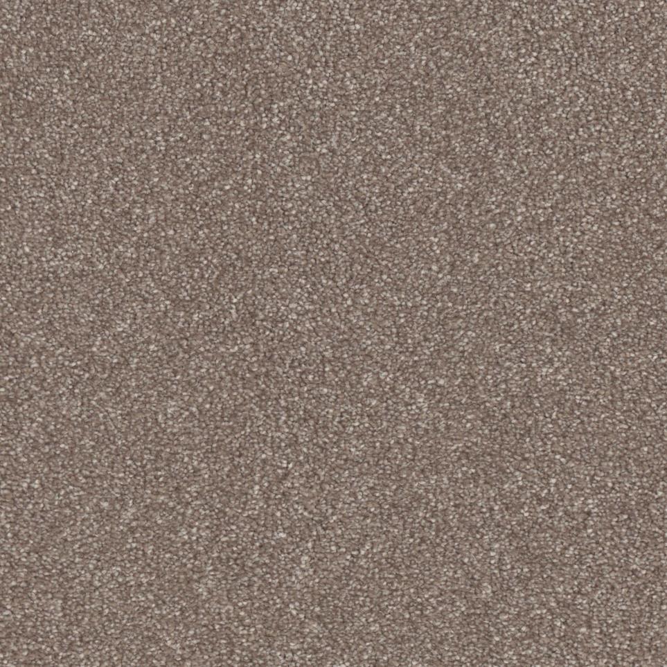 Tree Trunk Zoomed Swatch