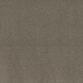 Dream Forest I - Abroad Swatch