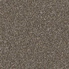 Rocky Trail Zoomed Swatch