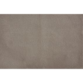 Taupe Swatch