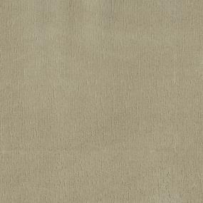 Vivid Clear - Pudding Swatch