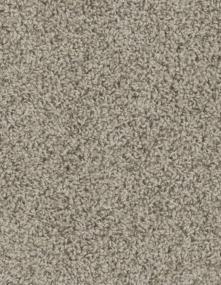 Cce 125 - Almond Swatch