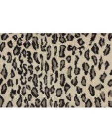 Snow Leopard
