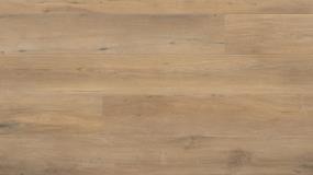 Rockcliffe Trail - Field Cream Swatch