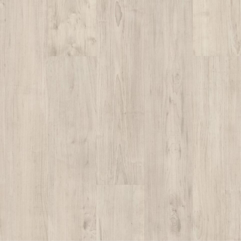 Parchment Swatch