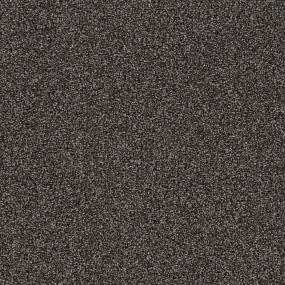 Coconut Shell Swatch Thumbnail