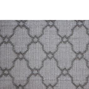 Silver Zoomed Swatch