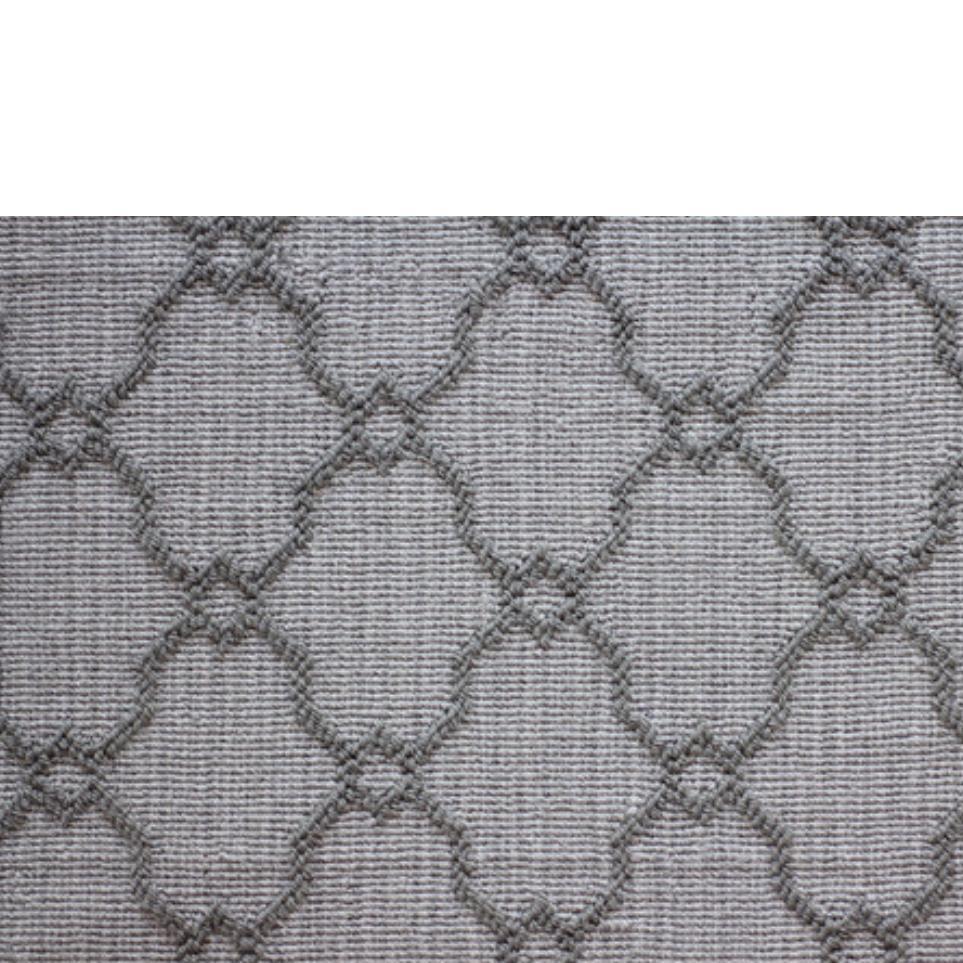 Silver Zoomed Swatch