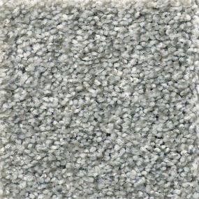 Cabana Life  T - Stainless Swatch