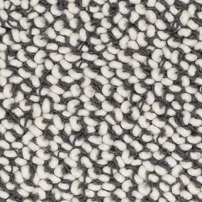 Designer Elegance - Nightfall Swatch
