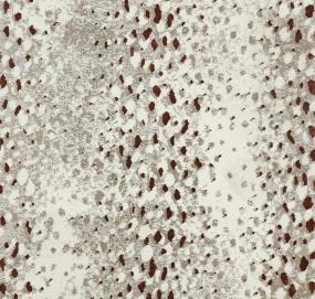 Safari - Garnet Swatch