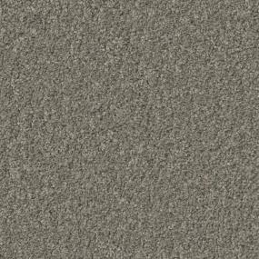 Barnboard Zoomed Swatch