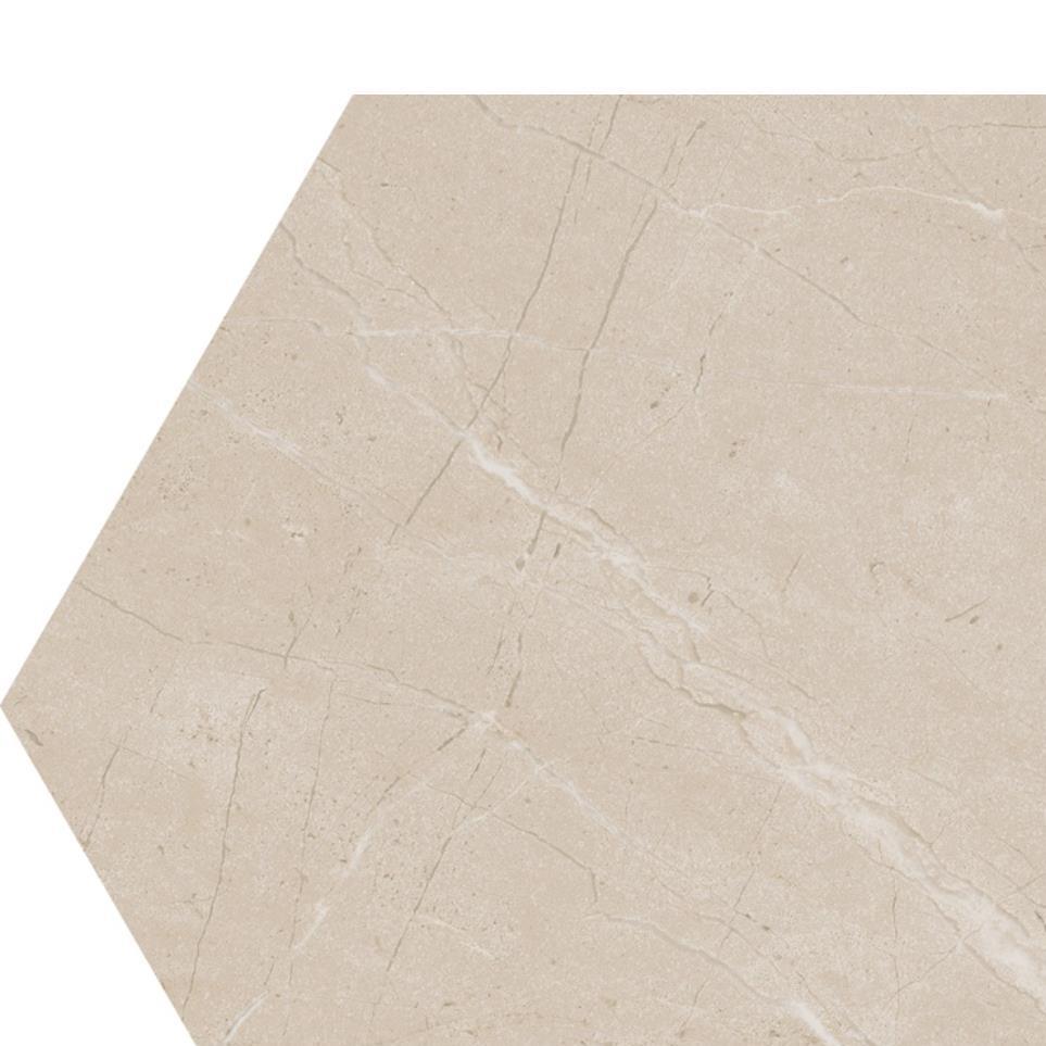 Elegant Beige Matte Zoomed Swatch