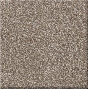 Plan To Succeed II - Cork Swatch