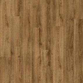 Chestnut Brown Swatch