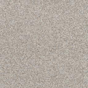 Stop & Stare I - Cobblestone Swatch