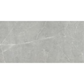 Sterlina II Matte 12X24 - Gray Swatch
