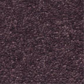 Esperanza - Morado Swatch