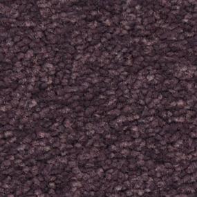 Morado Zoomed Swatch