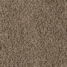 Soft Excellence - Rustic Splendor Swatch