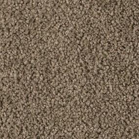 Rustic Splendor Zoomed Swatch