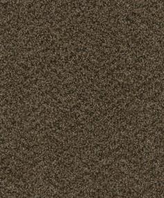 Cce 125 - Rustic Charm Swatch
