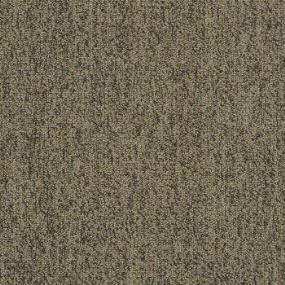 Acumen II 26 - Baked Apple Swatch