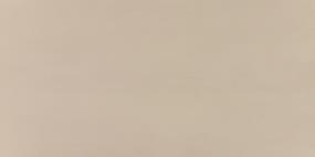 Synchronic Rectangle 12X24 Mt - Beige Matte Swatch