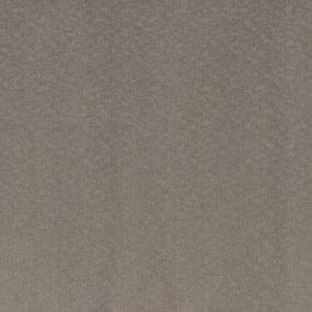 Breezy Palms - Feather Gray Swatch