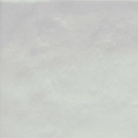 Blanco Zoomed Swatch