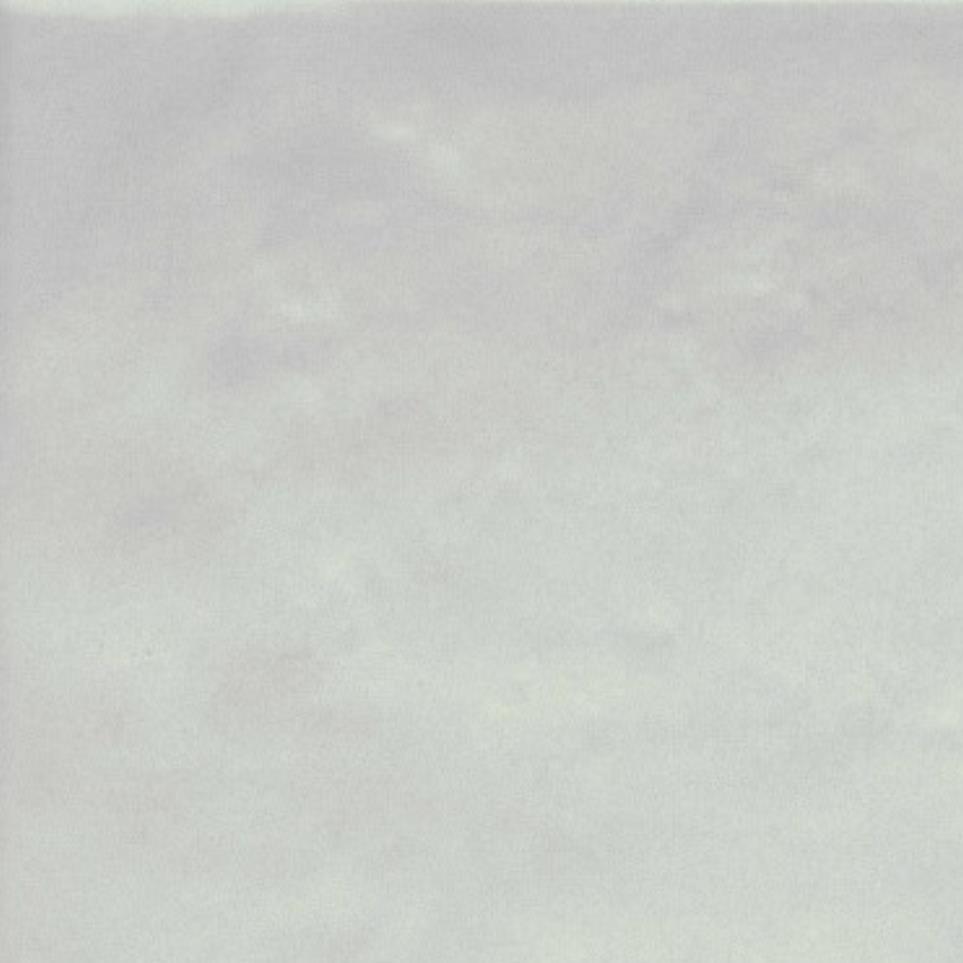 Blanco Zoomed Swatch