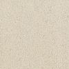 Congaree Premiere II T Tonal