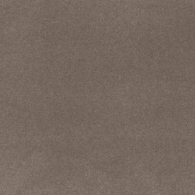 Tomorrow's Taupe Swatch Thumbnail