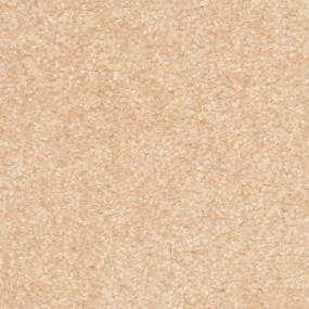 Treasured Moment - Sanderling Swatch