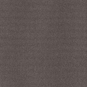 Alluring - Meteorite Swatch
