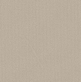 Aerial Arts - Canvas Swatch